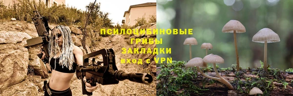 мет Алексин