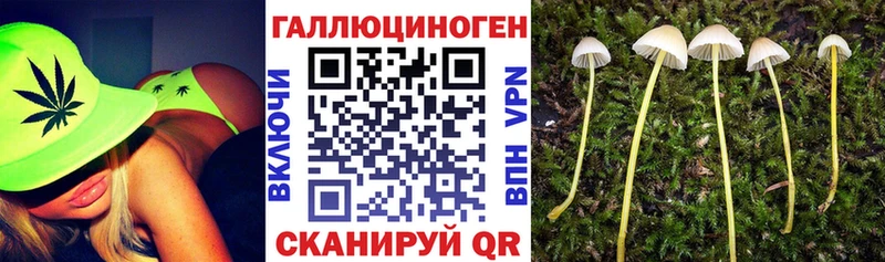 Псилоцибиновые грибы мухоморы  Геленджик 